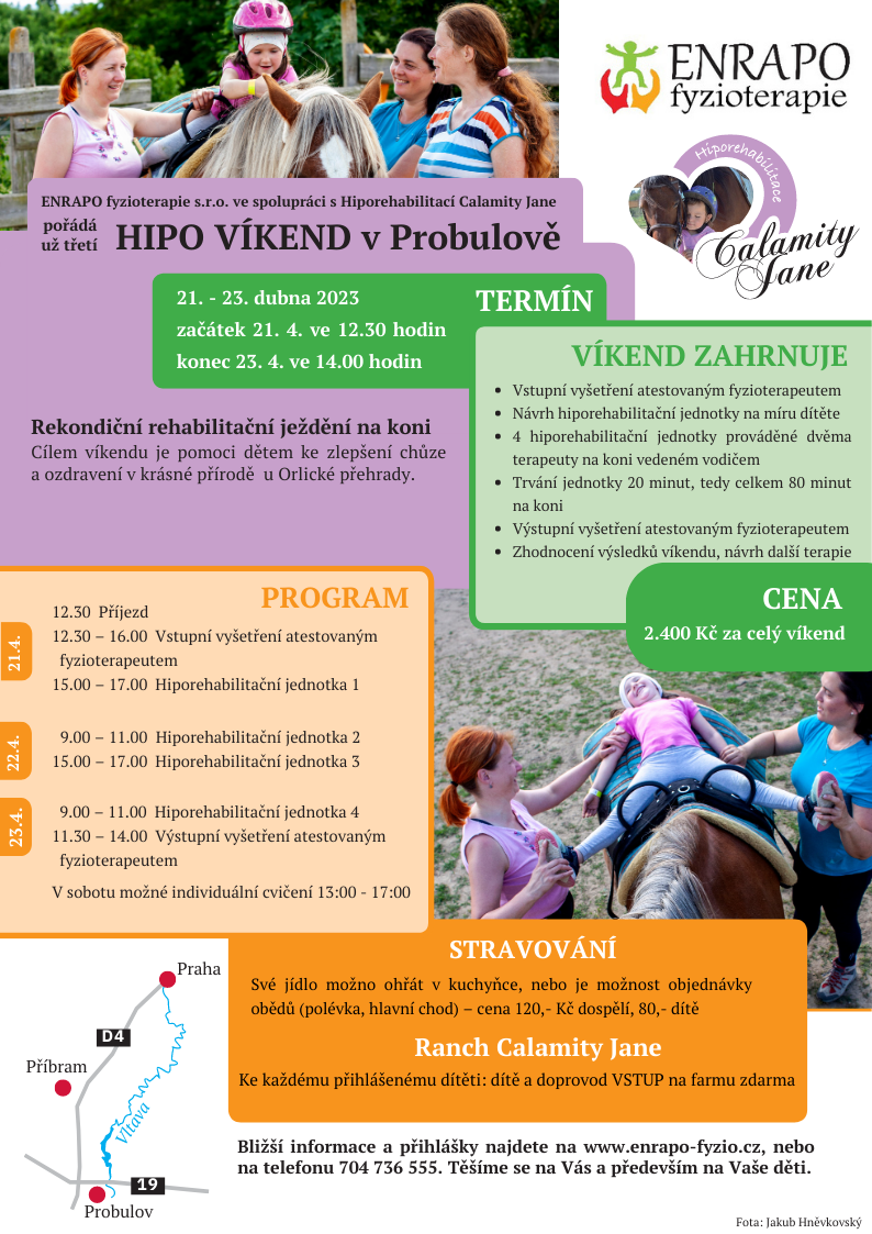Copy of letacek_hippoIII.pdf